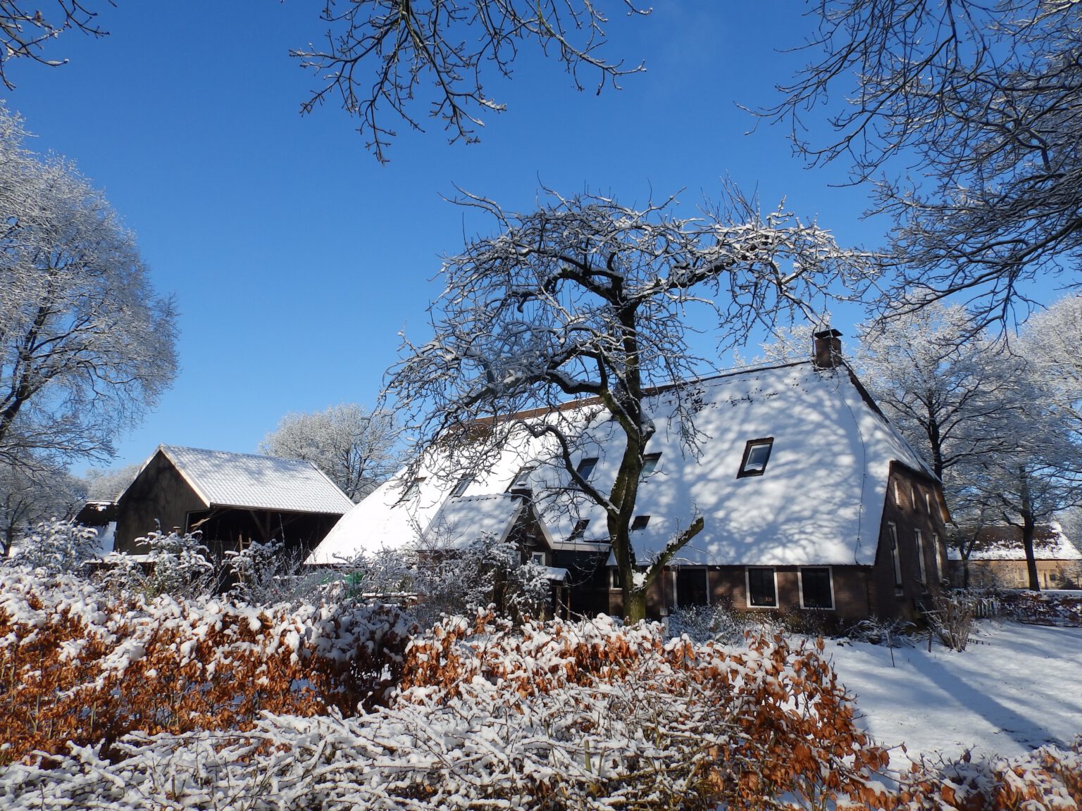 Orvelte – De Flintenhof